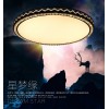 普省现代简约温馨圆形吸顶灯led灯具大气创意艺术吸顶灯一件代发